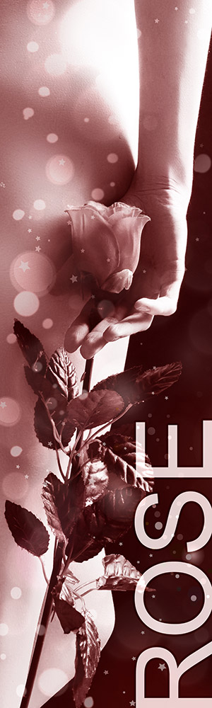Status Rose - Honorarübersicht Escort Service Wien Status Rose - Honorarübersicht Escort Service Wien